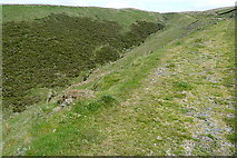 SN8244 : Access land at Bryn Nicol by Graham Horn