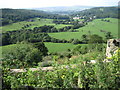 Towards Honley Wood Bottom