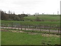 Farmland, Glenboig