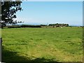 View across farmland in the direction of the sea