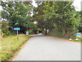 The Road To Helford Passage