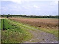 Farm track to Holiday Moss