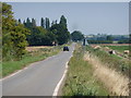 Looking east along Thorn Bank