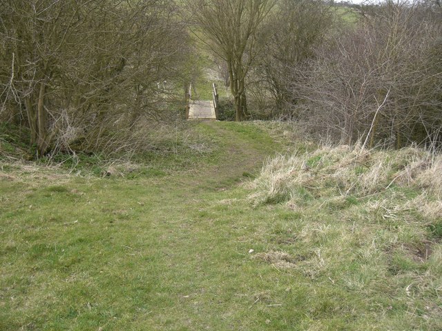 Muddy path and footbridge