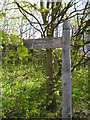 Waymarker at the start of the North Downs Way in Farnham