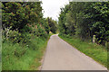 Road through Heights of Fodderty