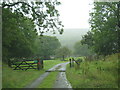 Cattle grid at Bowithick