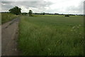 Farmland at Dormston