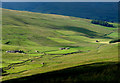 Looking down Sleddale from near Fleet Moss