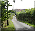 2010 : Birchwood Lane crossing a corner of the grid square