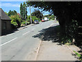 Looking up Halls Road