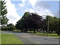 Stapleton village green