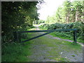 Track into East Harptree Woods