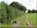 Track along the edge of a field in the Mendips