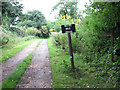 Access road to Church Farm, Hethel