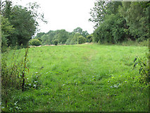 TG1600 : Path through pasture by Church Farm, Hethel by Evelyn Simak