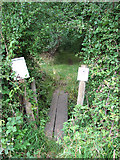 TG1600 : Plank bridge over ditch by Evelyn Simak