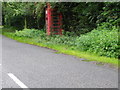 Telephone box, Hale Purlieu