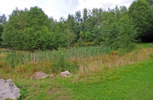 Pond in Croft Wood (1), Swindon © P L Chadwick :: Geograph Britain and ...