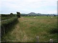 Fields next to B4413 near Botwnnog