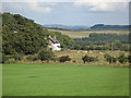 Pastures and woodland at Haining Hall