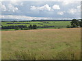 Farmland near Shankhead