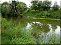 The Royal Military Canal, near the Romney, Hythe and Dymchurch Railway station