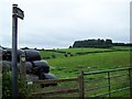 Footpath From Newland To Upper Redbrook