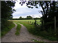 TM4067 : Footpath to the A12 Main Road by Geographer