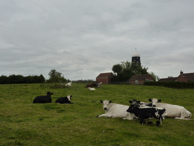 Cattle and Mill Farm, Long Clawson