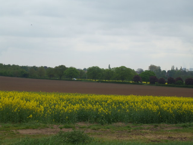 Fields towards the A63, Monk Fryston