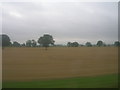 SE8027 : Farmland near Greenoak by JThomas
