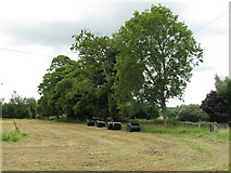 R6443 : Hay field with wrapped bales, near Longford Bridge by David Hawgood