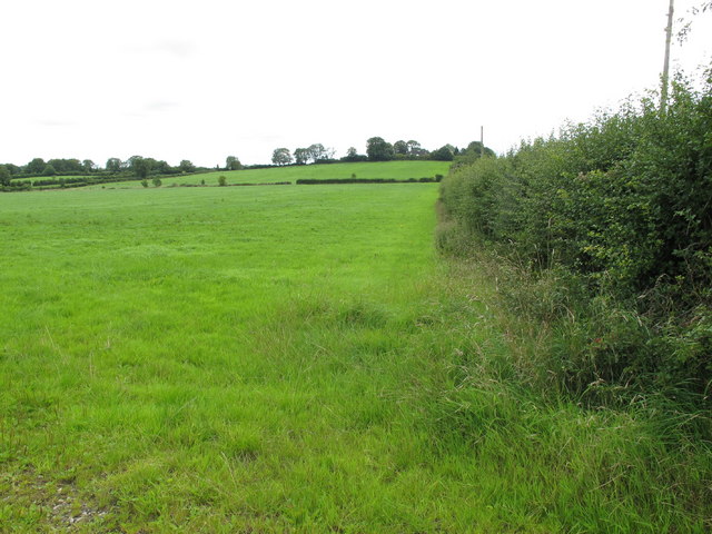 Pasture near Ballybrennan
