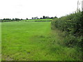 R6053 : Pasture near Ballybrennan by David Hawgood