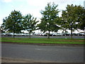 New cars at Grimsby Docks