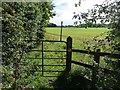 Footpath to Scruton