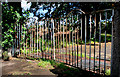 Gate and cattle grid, Lisburn