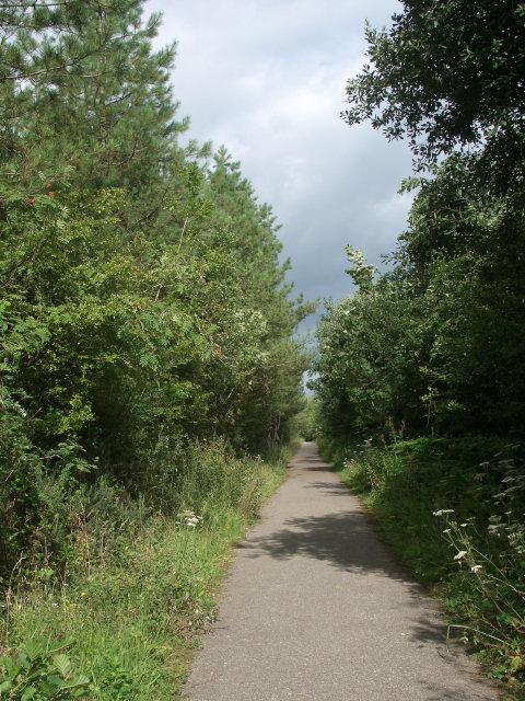 Bridleway in Parc Slip Nature Park