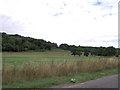 SU7811 : Fields north of Walderton, West Sussex by nick macneill