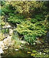 The Japanese Garden - St. Mawgan