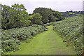 Moorland near Hannaford Manor