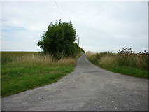 TA0015 : Minor road to Barrow-upon-Humber by Ian S