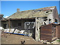 Derelict farmhouse at Foster Hill Woodland