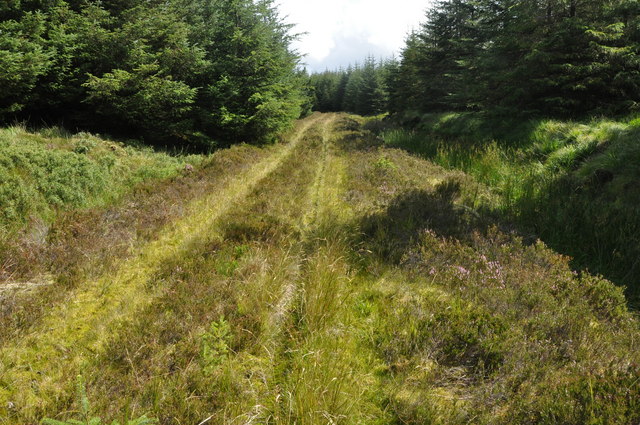 Forest track, Kintyre