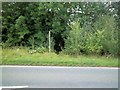 Footpath leaves road