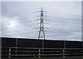 Pylon by the M25