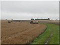 Bales in the rain