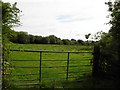 Gortindarragh Townland