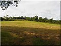 Gortindarragh Townland